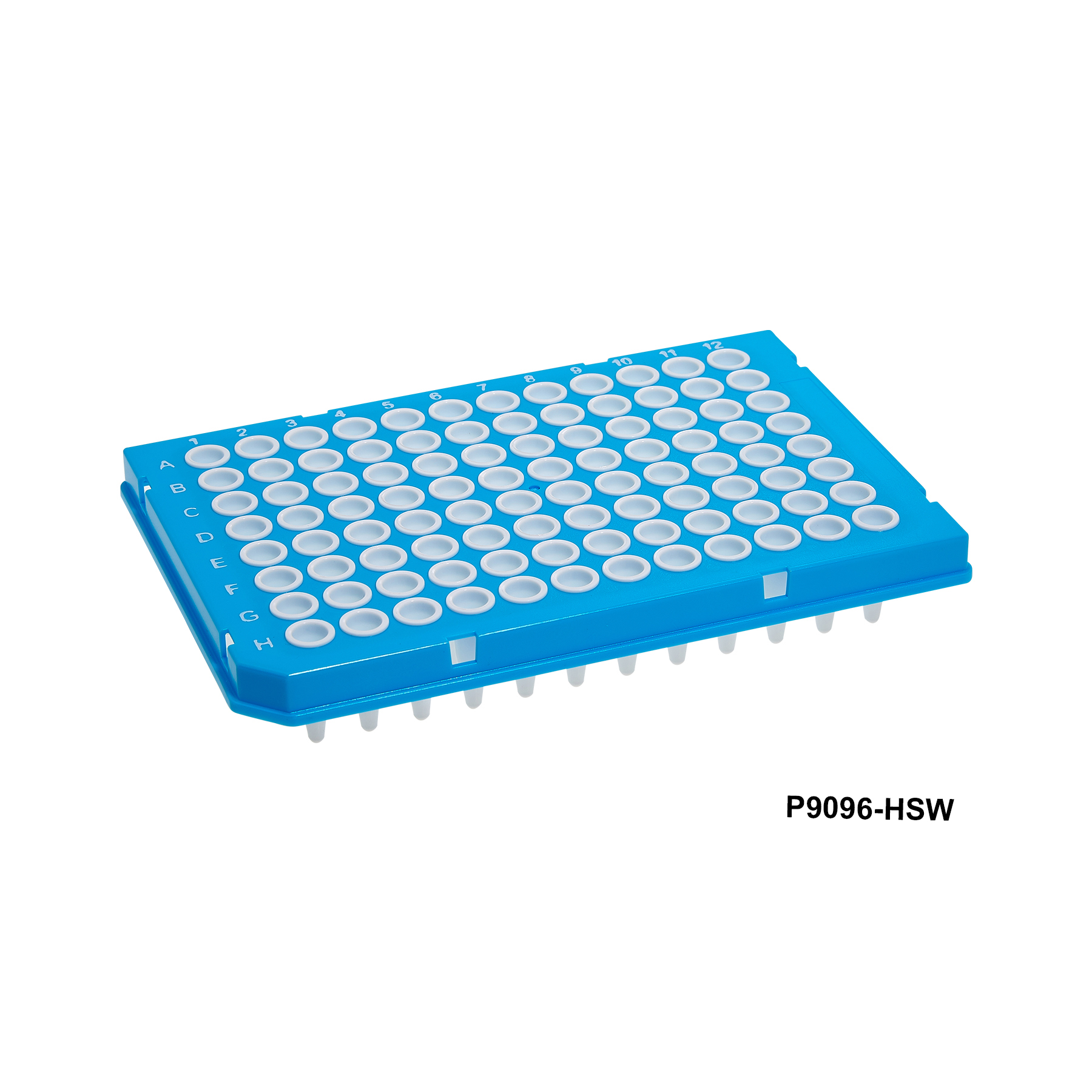 SureFrame™ Two-Component PCR Plates - Image 5