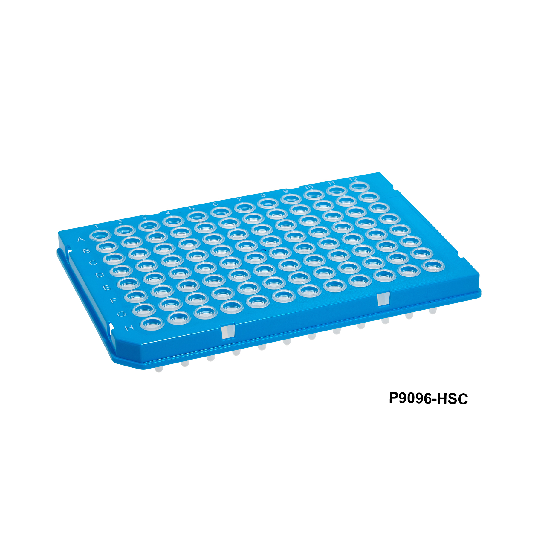 SureFrame™ Two-Component PCR Plates - Image 4