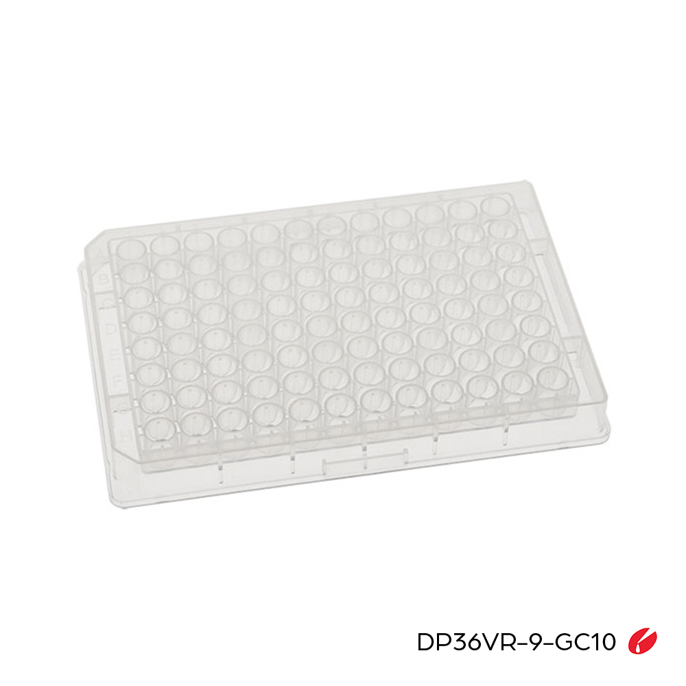 ILP Glass Coated Plates - Image 8