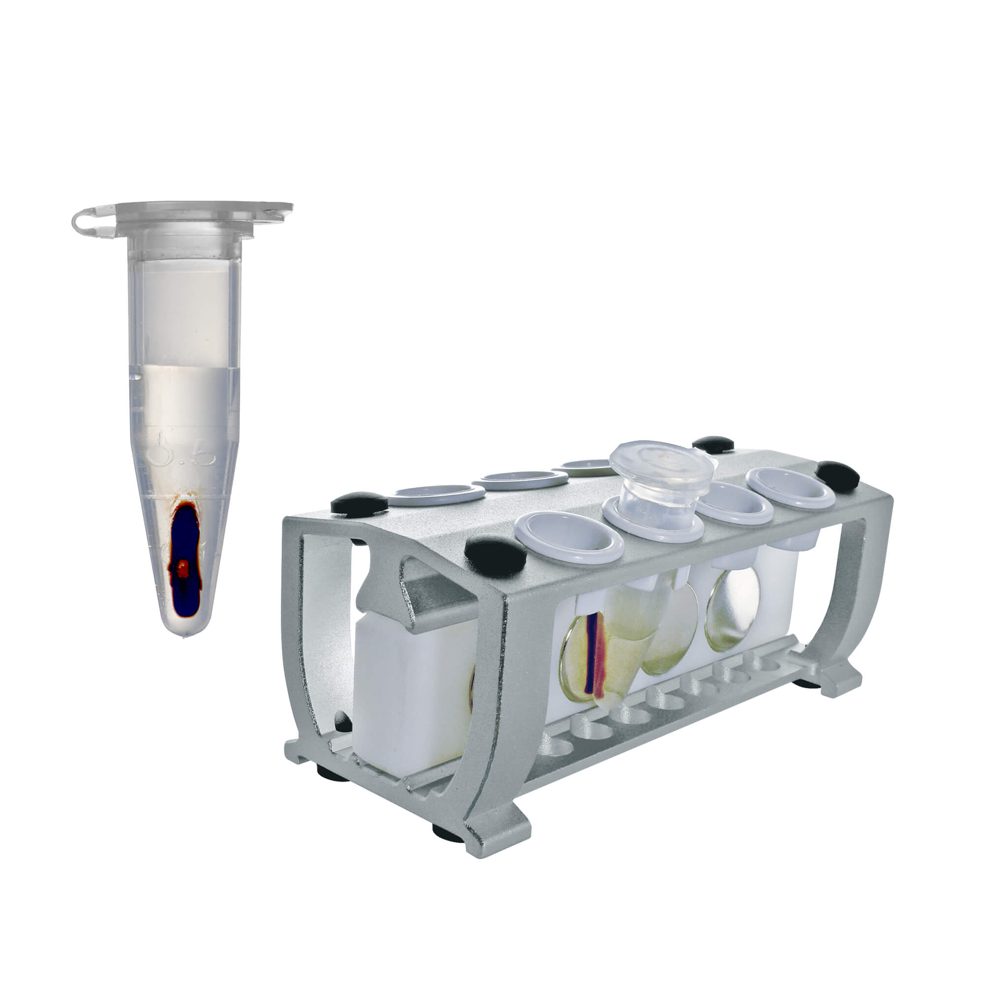 Magnetic Bead Separation Rack - Image 4