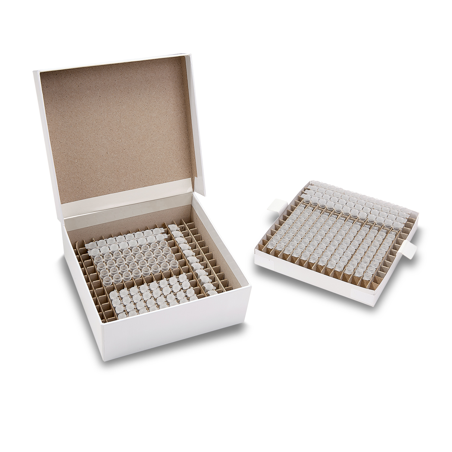 Cardboard PCR Freezer Boxes - Image 11